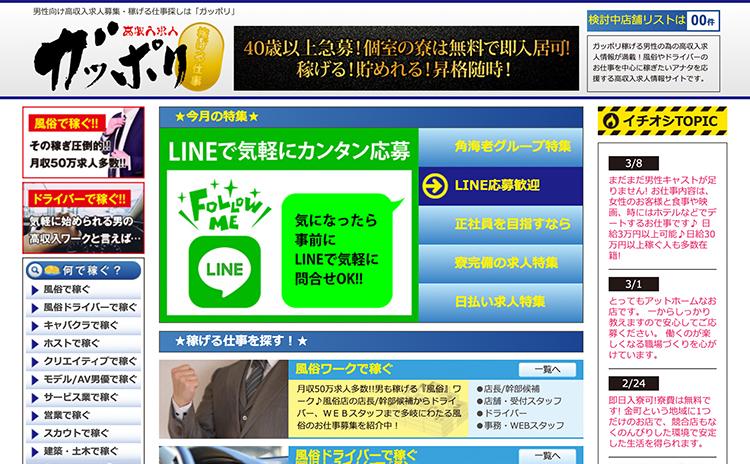 ガッポリ